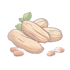 Groundnut | Peanut | Kachi Ghani Oil | Cold-pressed Oil | Natural | Pure | Unrefined