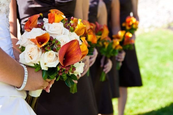 15735_1177384072294_1158891572_30430684_3111692_n