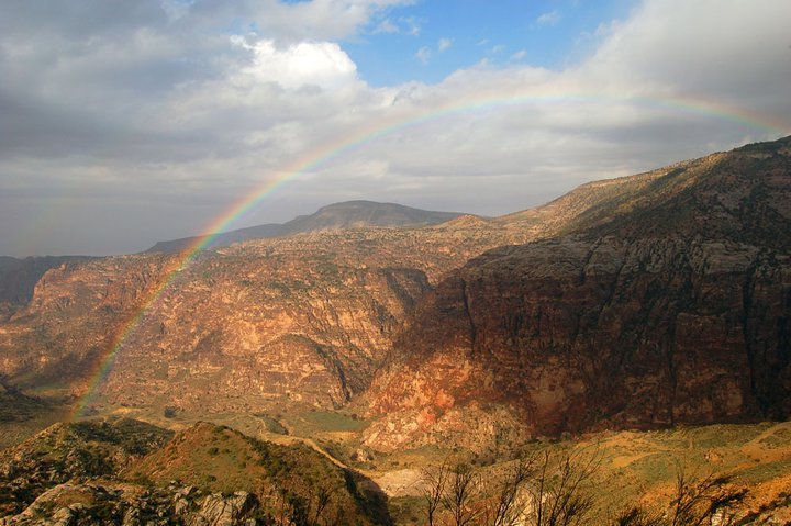 Dana natural reserve