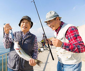 Elderly Japanese fishermen from Blue Zones area