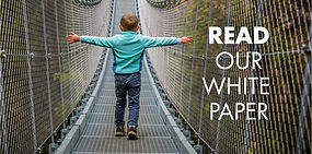 MESH white paper NEW.jpg