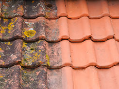 Steinreinigung Dachrinnenreinigung Fassadenreinigung Dachrinnenreinigung Solaranlagen Pv-Anlagen Hausmeisterservice Grünflächenpflege Grauflächenpflege Treppenhausreinigung Graffitientfernung Imprägnierung Hydrophobierung Glasreinigung Jalousienreinigung Raffstorenreinigung Bauschluss