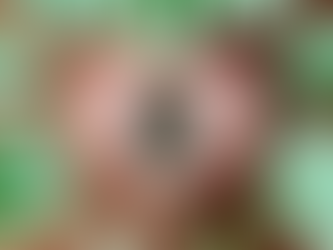 Cannabis 101: Navigating the World of Cannabis with Care