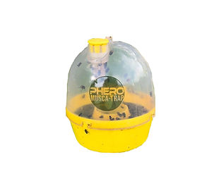 Phero musca trap .jpg