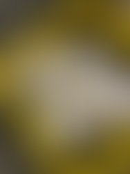 Hecho en Culiacán, no somos solo drogas es el lema de Haute a Porter