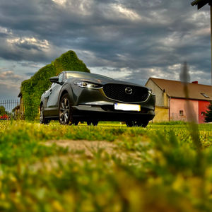 cars