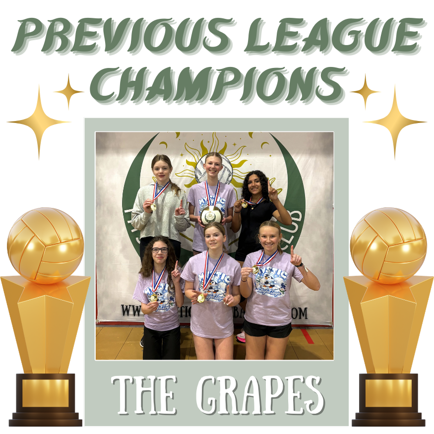 What is mystic volleyball club.png