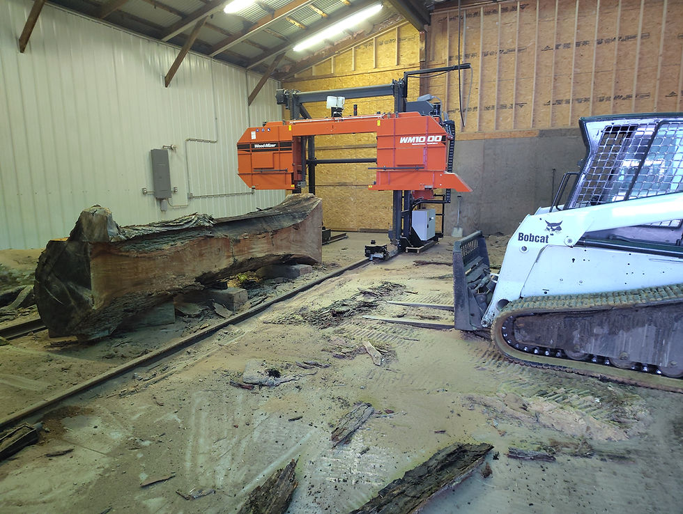 Wood-Mizer WM1000 sawmill