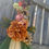 Thumbnail: Rust & Cream Floral Broom 