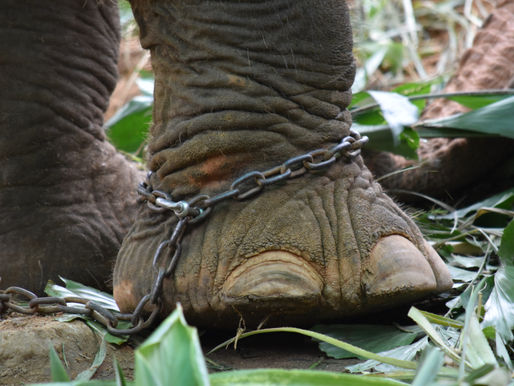 Descubra o que é uma crença e como ela limita nosso autodesenvolvimento.