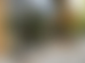 Cửa Nhôm Xingfa Nhập Khẩu Chính Hãng