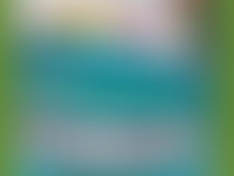 Ra Mắt Sản Phẩm Sơn Trên Kính Decor Paint Đẹp Bền Màu Dài Lâu