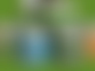 Giới Thiệu Sơn Sắt Mạ Kẽm Hiệu Decor Paint