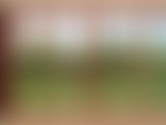 Giới Thiệu Dòng Cửa Việt Pháp Vân Gỗ Đẹp Sang Trọng