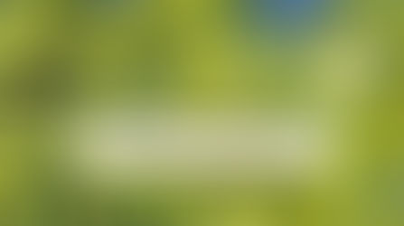 「me:rise PARTY vol.09」を開催します！