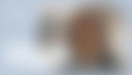 【Mirai Marché 2026】国内で服を循環できるファッションスワップ(お洋服交換会)!起業家インタビュー公開!@REUSE POOL、池江なつみさん