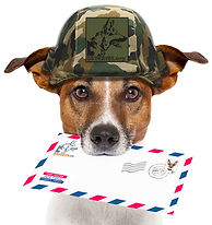 MWD Adoption