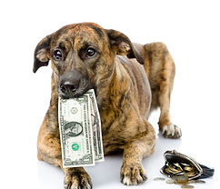 MWD Adoption