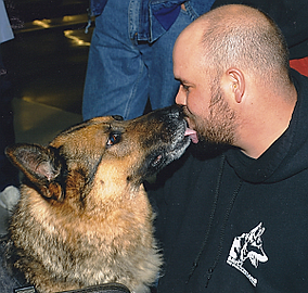 Military Working Dog Adoption