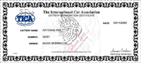 TICA Cattery.JPEG