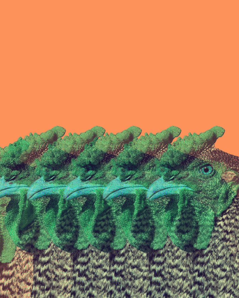 e.gif