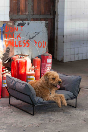 Editorial Cama Pet Oslo Usina5 Direção Criativa FIKA Marketing