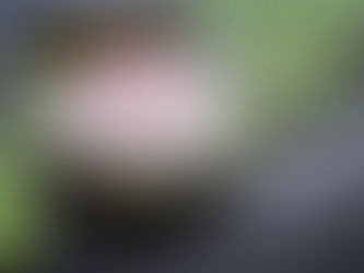 Welcome to the weekend! It’s Time to Refuel – April 10, 2020