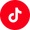 social-icon--tiktok