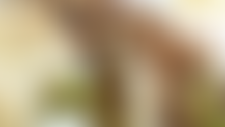 Apple Pie Overnight Oats