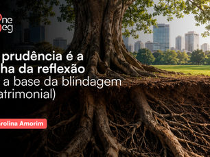 “ A prudência é a filha da reflexão” (e a base da blindagem patrimonial)