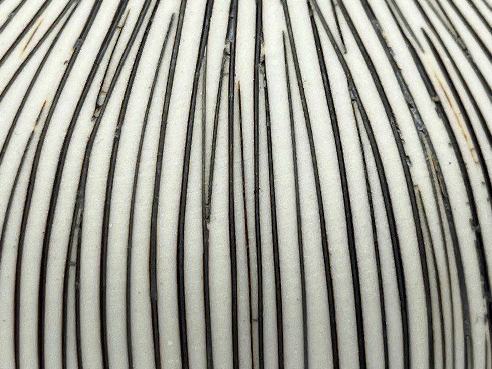 Thumbnail: Brown & White Mini Bud Vase (Porcelain)