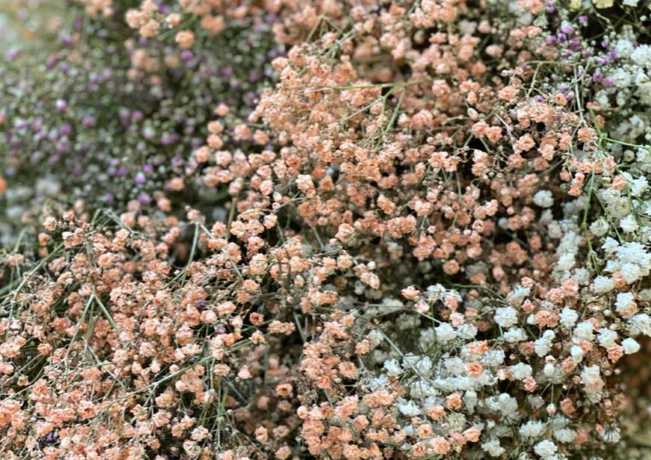 Skærmbillede 2021-10-07 kl. 08.32.22.modus.dk, MODUS A/S, Retail design, indretningshjælp, indretningsarkitekt, inventar, indretnings designer, butiksdesign, butiksindretning, butiks koncept, inventar design, møbeldesigner, butiksmøbler, kontorindretning, plantegning, inventarfirma, messe design, showroom, shop in shop, konceptudvikling, design virksomhed, produktion af inventar, Indretnings løsninger, kæde koncept, podie, disk, display, indretning af butik, design af inventar, hjælp til butiksindretning, hjælp til kontorindretning, hjælp til indretning. Design af disk, udvikling af flagsign, design af butiksborde, butiks stativ, workspace, butiksindretning, interiordesign, interior, design