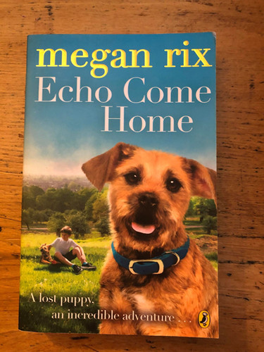 Echo Come Home - Megan Rix | Fables of the Age