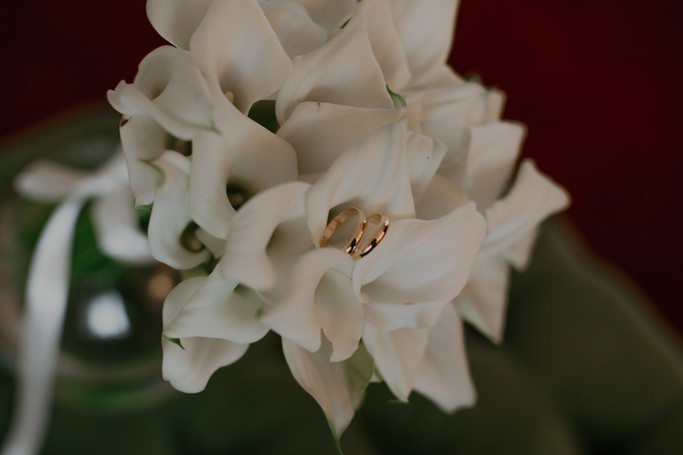 2d4ee6_723fc8cec19b497fa49e7a975336357a~mv2_d_3000_2000_s_2.jpg
