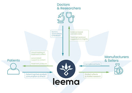 Leema Sturcture