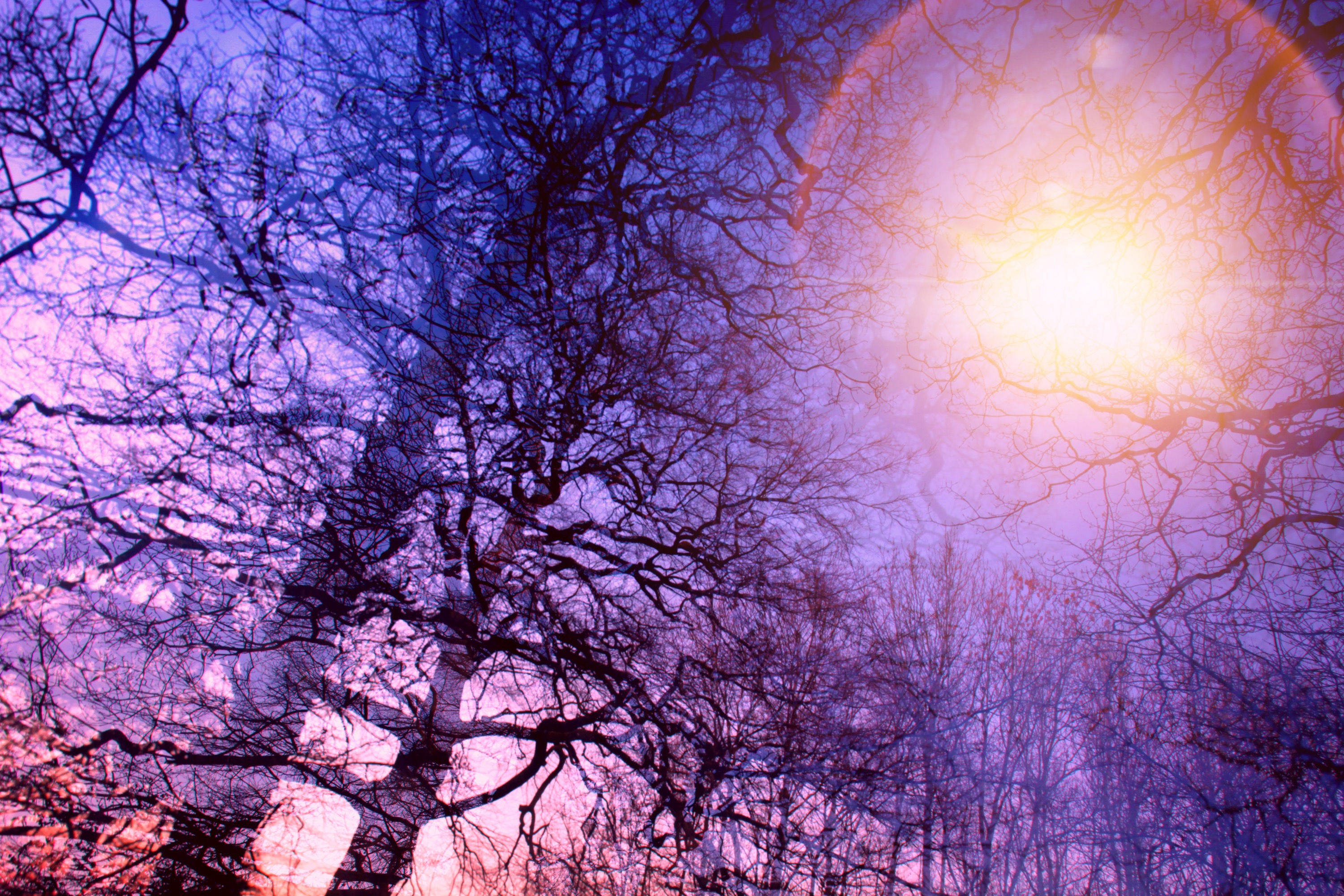 40 Minute Remote Light Transmission