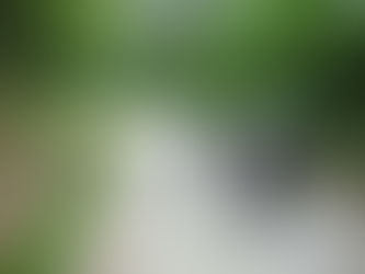 No Caminho de Santiago de Compostela somos todos como “livros com páginas em branco”