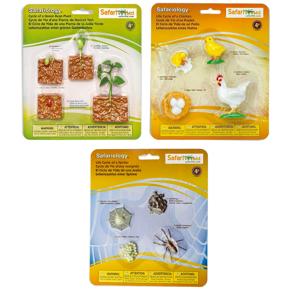Thumbnail: Life Cycle Figurines All Designs