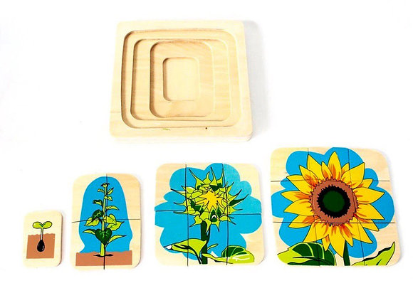 Montessori Sunflower Life Cycle Puzzle