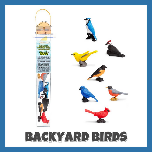 Safari Toob Backyard Birds montessentials