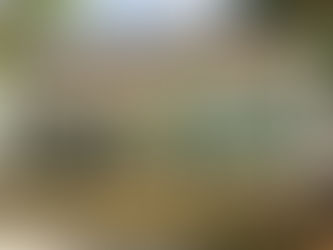 The Pregen Firm Weighs In On Co-Op Nightmare in Miami's Overtown