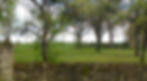 Paysagiste 44_Bouton