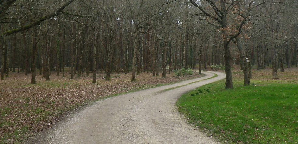 Paysagiste 44_Bouton