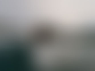 チーム員の活動