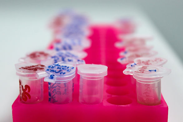 renta de laboratorio biotecnologia