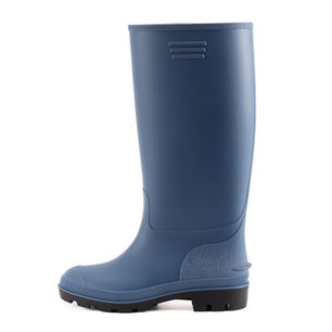 Blue Wellies