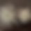 Thumbnail: Tectorum Small