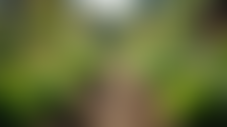 Werkzeuge für soziale Gesundheit und Gemeinschaftsbildung