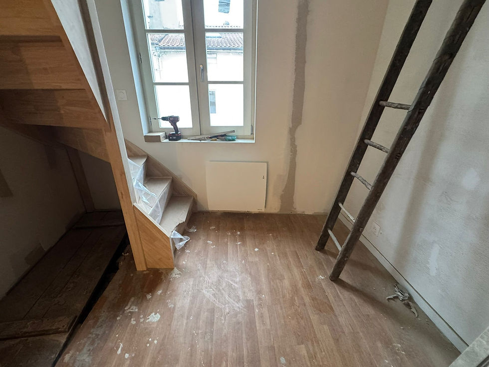 Installation électrique et radiateur Atlantic Agilia