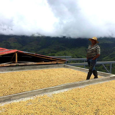 90f5723a-5c8d-4aab-9335-375d8a21a196_edi